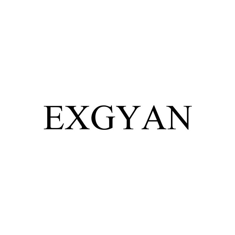 اکس جیان - Exgyan